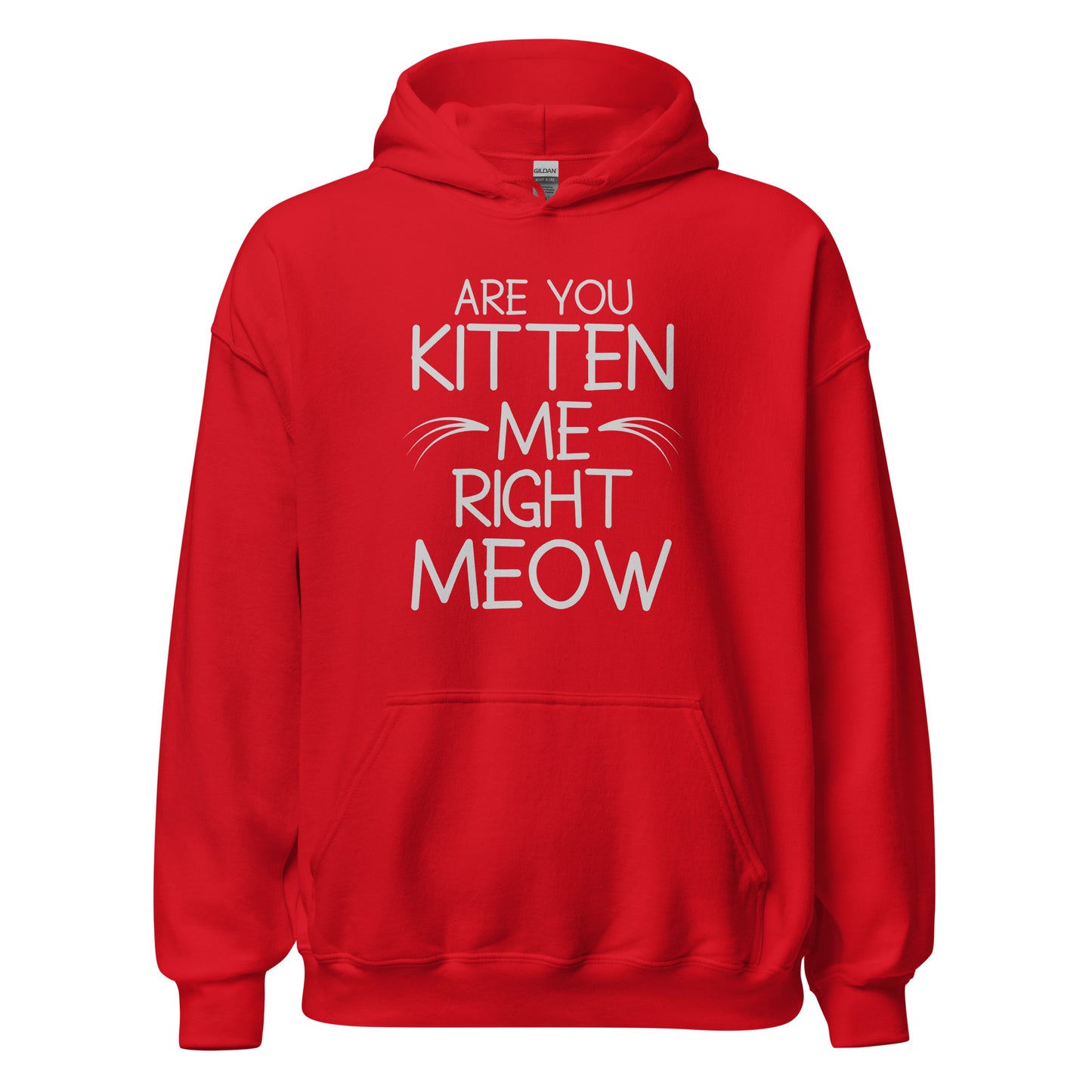 Are You Kitten Me Unisex Hoodie